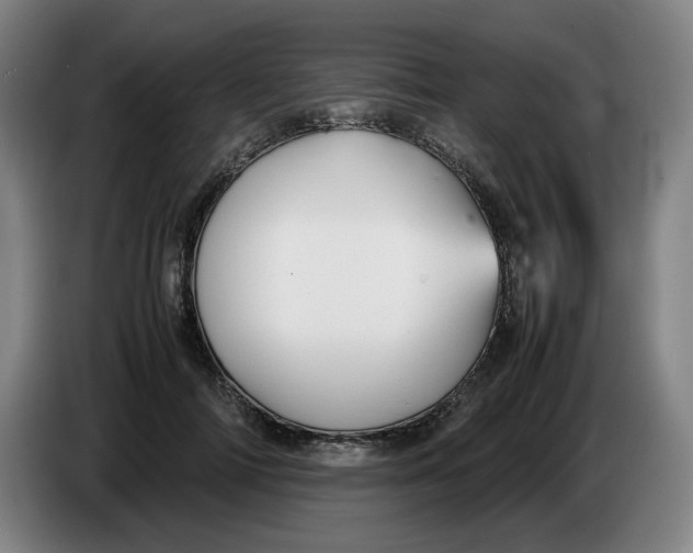 X0000086230698200704191800