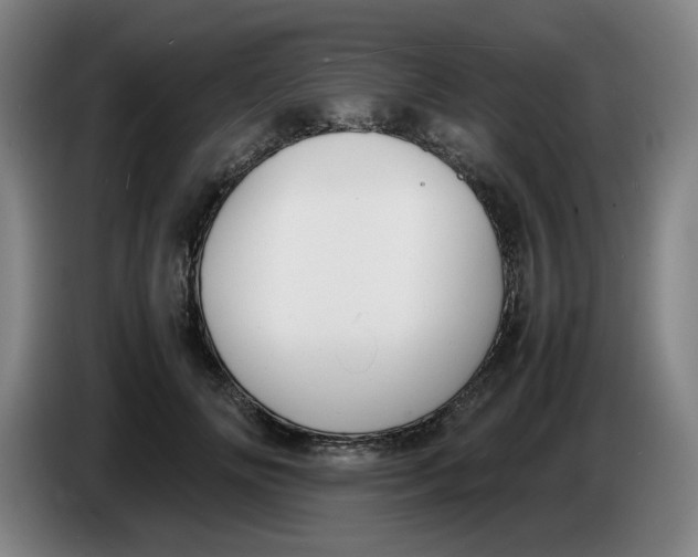 X0000086230702200704191800