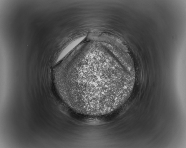 X0000086230704200704191800