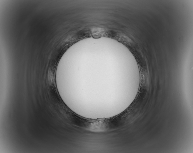 X0000086230705200704191800