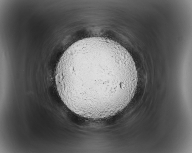 X0000086230707200704191800