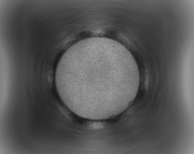 X0000086230710200704191800