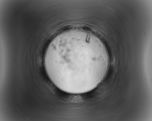 X0000086230715200704191800