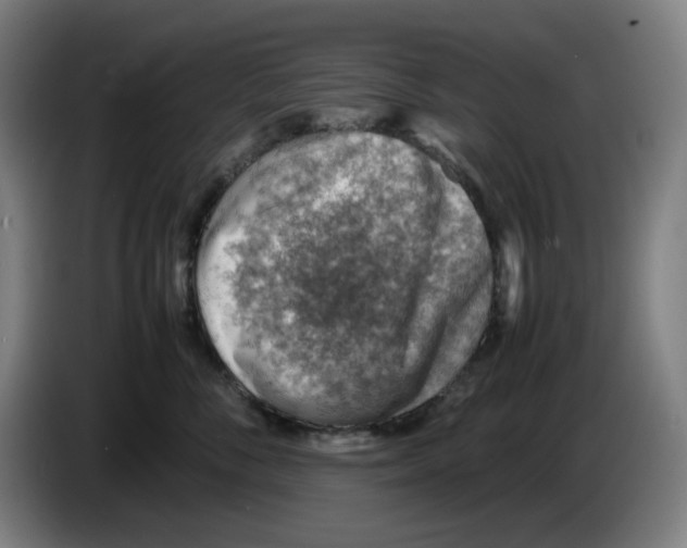 X0000086230716200704191800