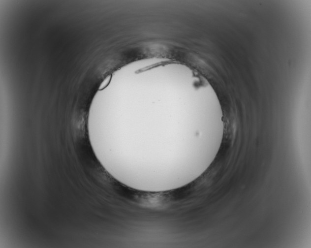 X0000086230717200704191759