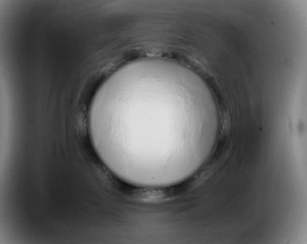 X0000086230719200704191759