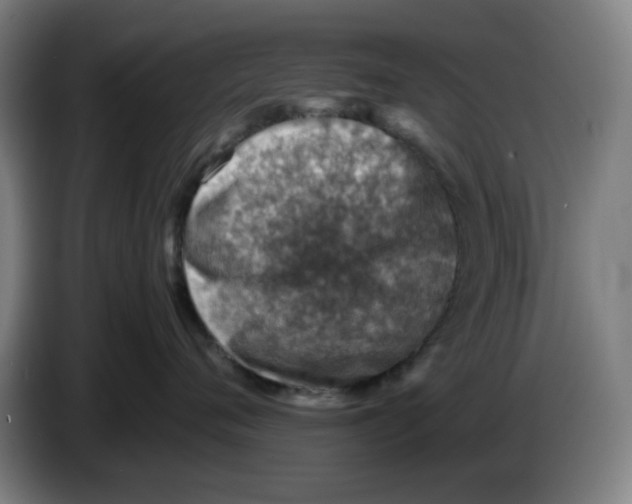 X0000086230720200704191759