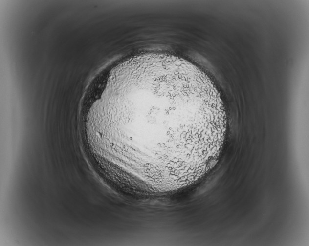 X0000086230721200704191759