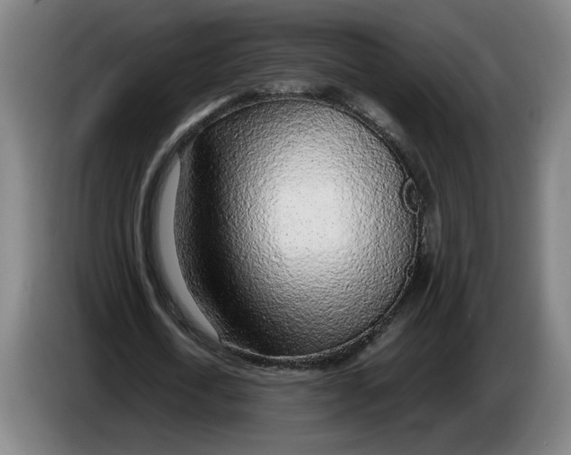 X0000086230722200704191759