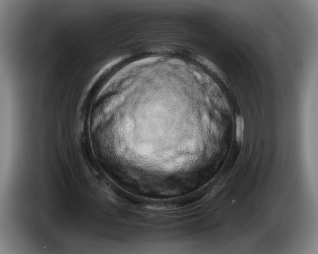 X0000086230723200704191759