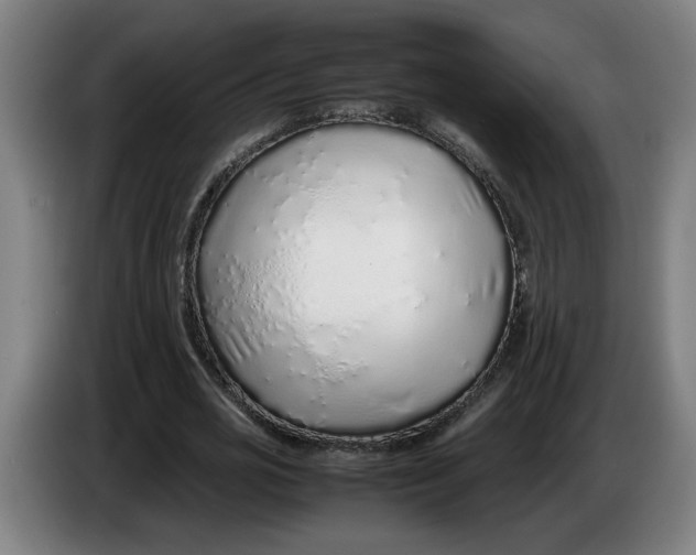 X0000086230725200704191759