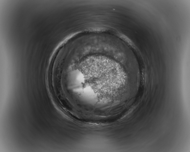 X0000086230726200704191759