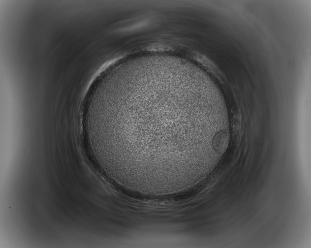 X0000086230727200704191759