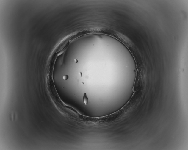 X0000086230728200704191759