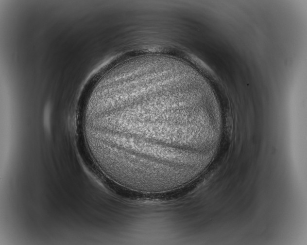 X0000086230730200704191759