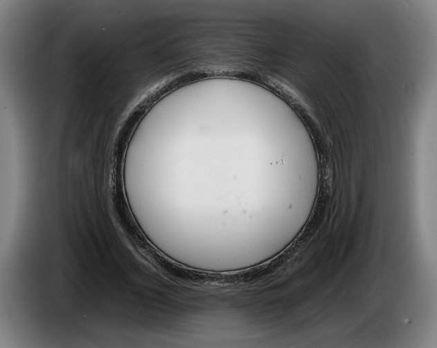 X0000086230732200704191759