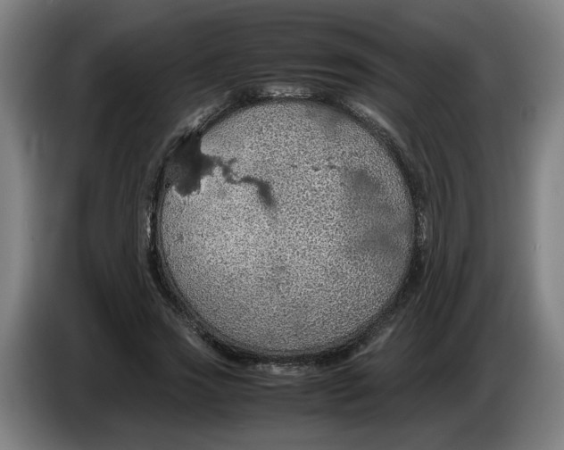 X0000086230733200704191759