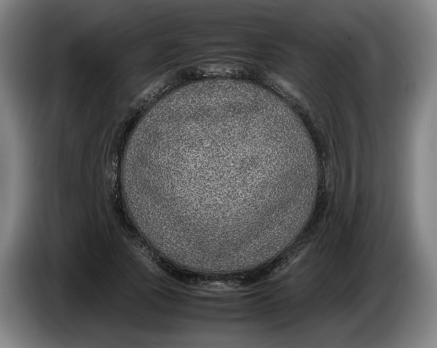 X0000086230737200704191759