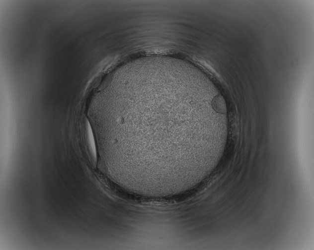 X0000086230738200704191759