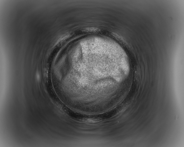 X0000086230739200704191759