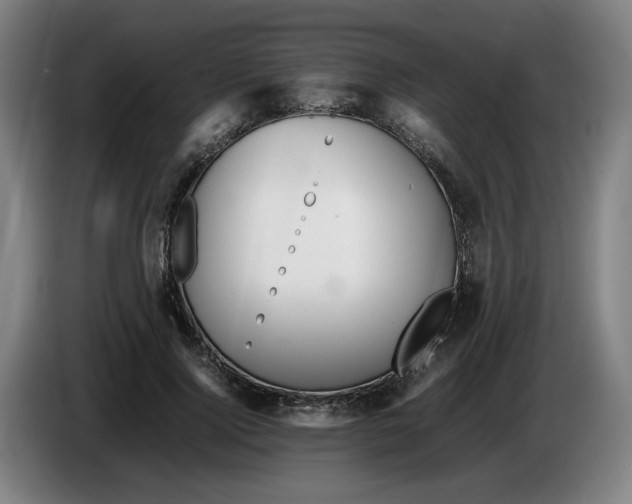 X0000086230740200704191759