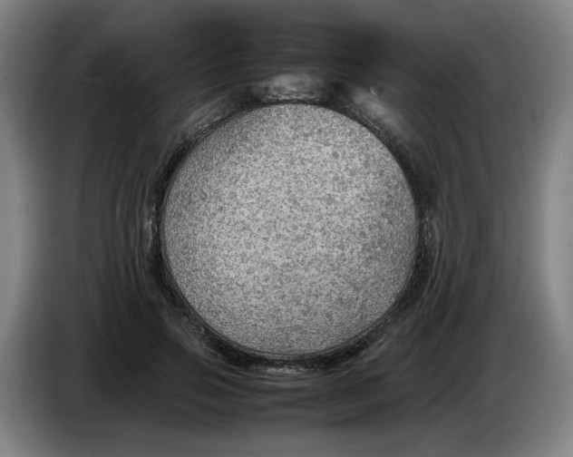 X0000086230741200704191759