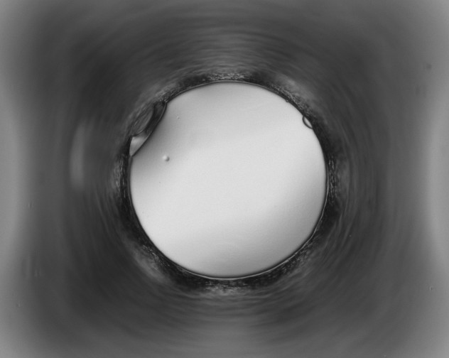 X0000086230742200704191759