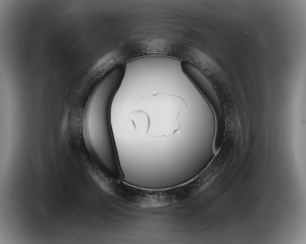 X0000086230744200704191759