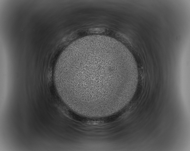 X0000086230745200704191759