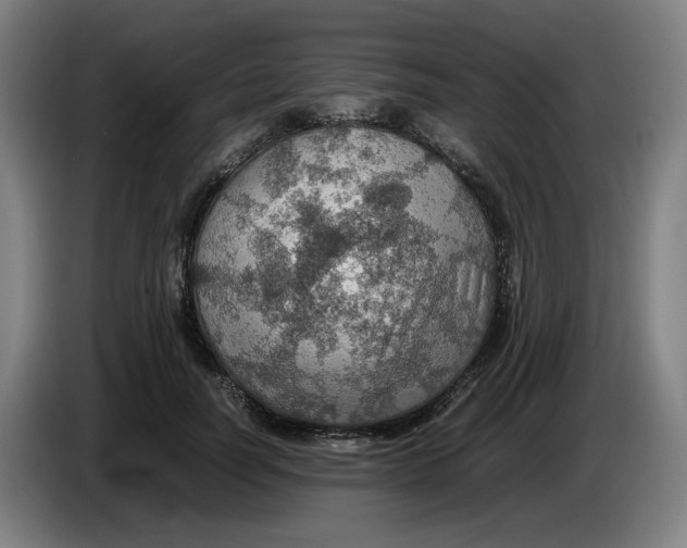 X0000086230746200704191759