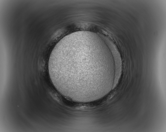 X0000086230750200704191759