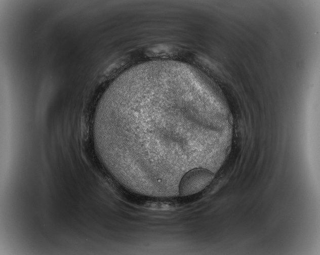 X0000086230751200704191759