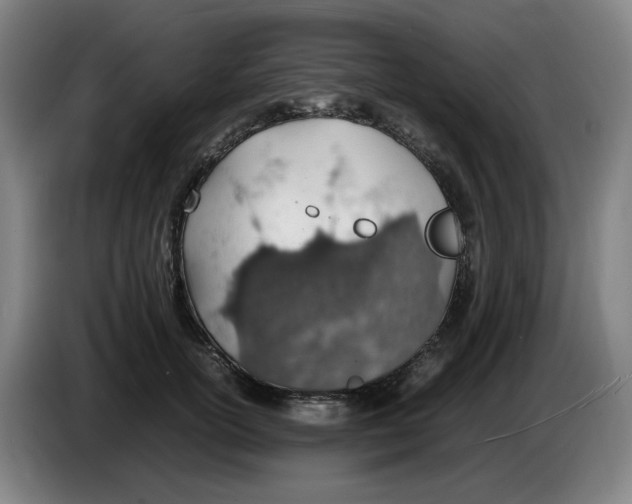 X0000086230754200704191759