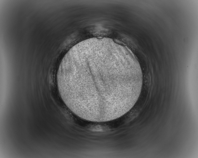 X0000086230755200704191759