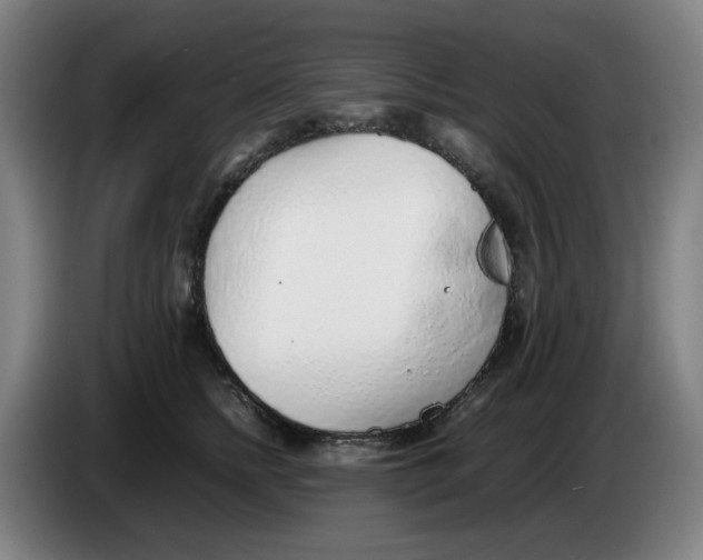 X0000086230758200704191759