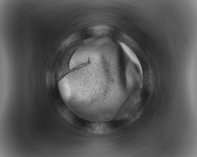 X0000086230762200704191759