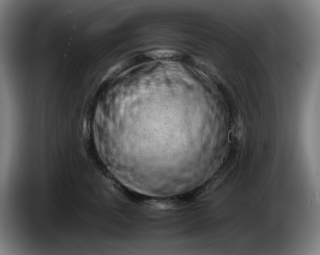 X0000086230763200704191759