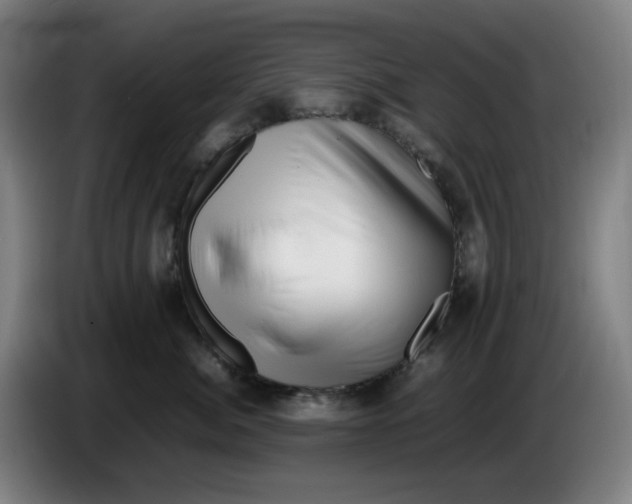 X0000086230764200704191759