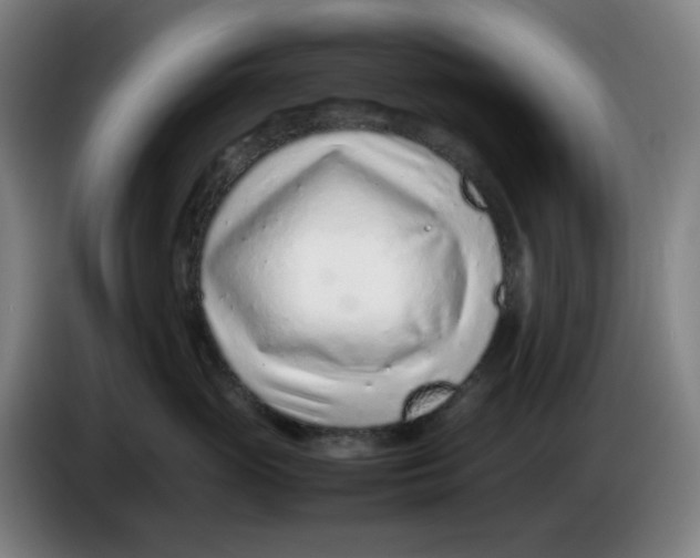 X0000086230765200704191759