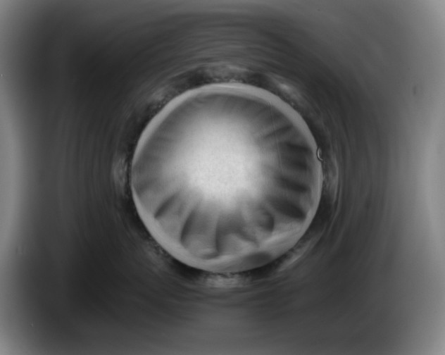 X0000086230767200704191759