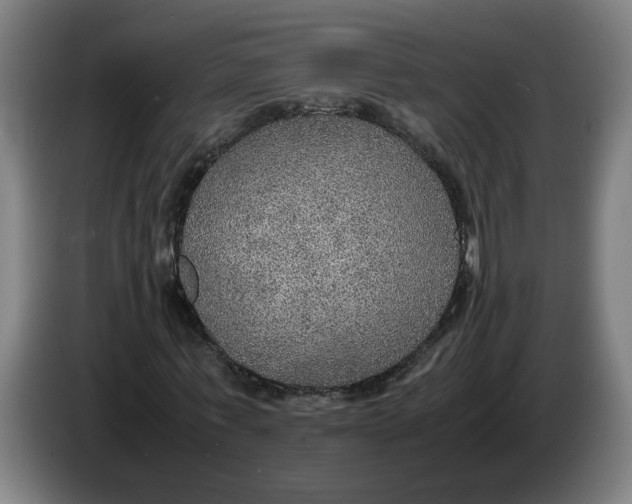 X0000086230771200704191759