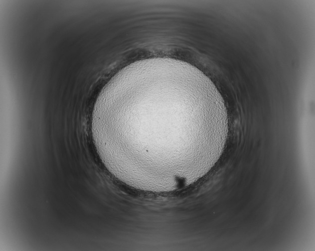 X0000086230772200704191759