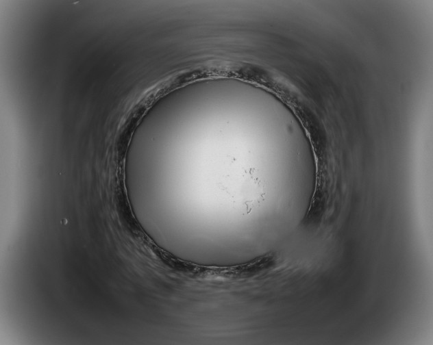 X0000086230773200704191759