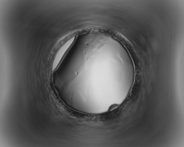 X0000086230775200704191759