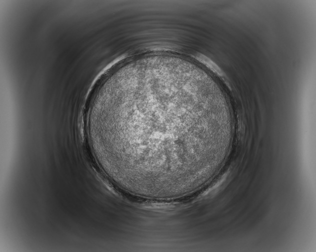 X0000086230782200704191759