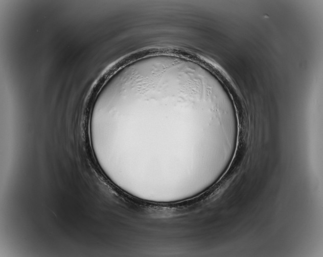 X0000086230783200704191759