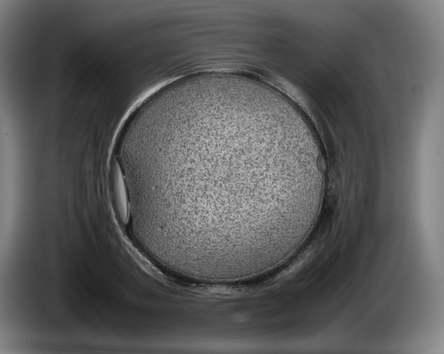 X0000086230787200704191759