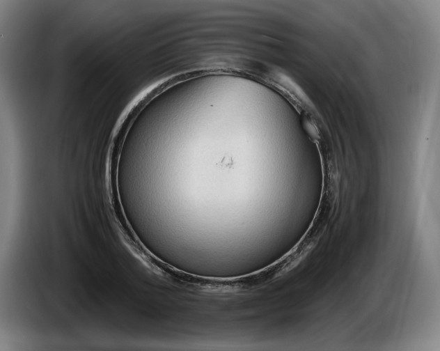 X0000086230788200704191759