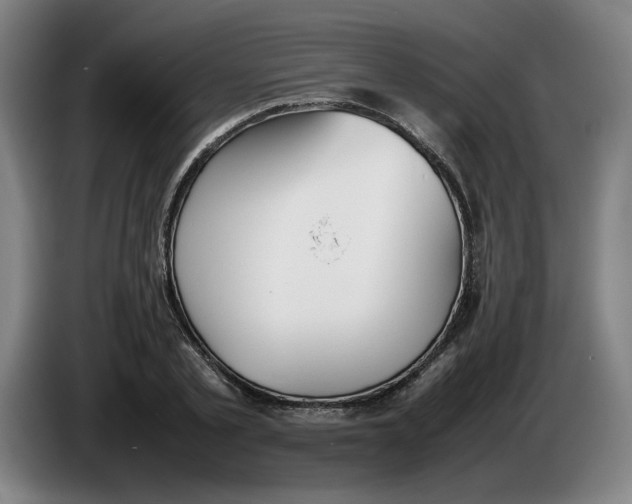 X0000086230789200704191759