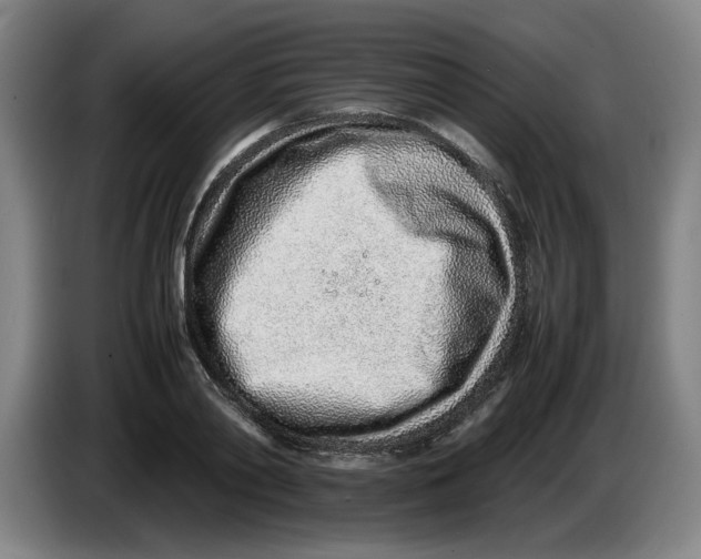 X0000086230790200704191758